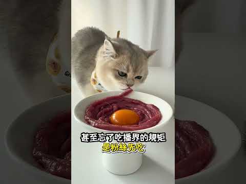 小貓吃播翻車現場：主播換了倆