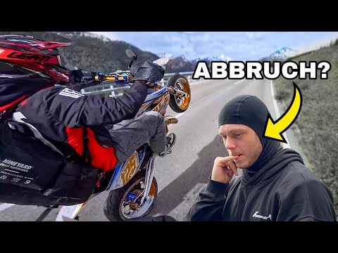 Swifty and Klausa Riding