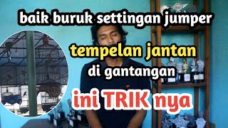 Download lagu Perawatan lovebird fighter (Sistem Jumper) Sering JUARA tapi mudah BOSAN mp3