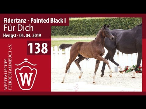 138 Für Dich Hengst v. Fidertanz - Painted Black I