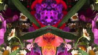 the mountain (by Steve Earle &amp; the Bluegrass Dukes live in &#39;99 in Nashville)