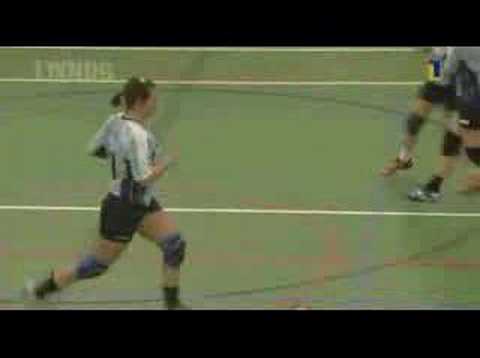 Swift 2000 - Quintus