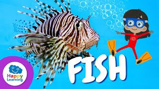 AMAZING CURIOSITIES ABOUT FISHES | Happy Learning 🐟🐡🐠
