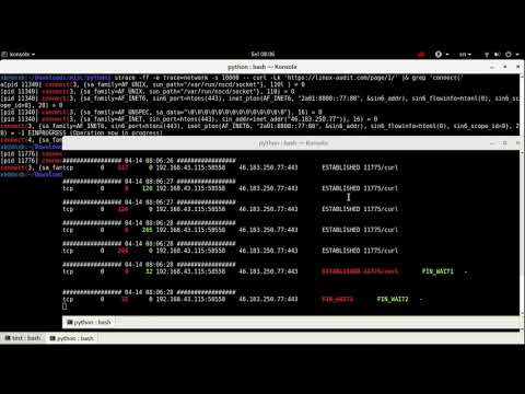 [skill] strace vs netstat