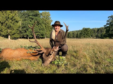Faszinierende Rotwildszenen bei bestem Brunftbetrieb