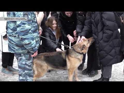 В Курской области продолжается Всероссийская акция МВД России &laquo;Студенческий десант&raquo;