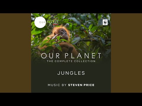 Video thumbnail for Jungles