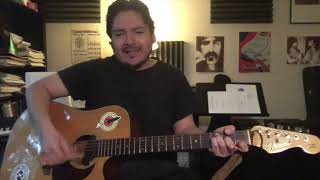 Fleas - NOFX (Acoustic Cover)