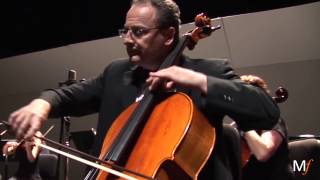 Download lagu Camille Saint-Saëns - Allegro Appassionato, Op 43 (Arrangement for string orchestra) mp3
