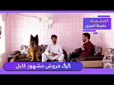 Kabul’s famous dog seller in Hafiz Amiri report / گرگ فروش مشهور کابل در گزارش حفیظ امیری