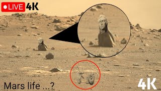 NASA’s Latest 4K Mars Images Reveal Unbelievable Secrets!Perseverance & Curiosity Update sol.13.2025