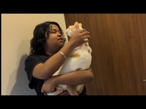 Krish and Yash Bond #love #funny #cat #krish #pets #trending 