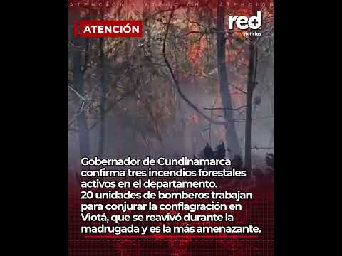 Gobernador de Cundinamarca confirma tres incendios forestales activos en el departamento