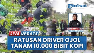 Upaya Cegah Longsor, 350 Pengemudi Ojol Wonosobo Tanam 10 Ribu Bibit Pohon di Kawasan Telaga Menjer