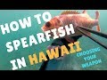 SPEARFISHING HAWAII BASICS: Starting With a "3-Prong" Polespear