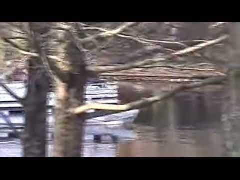 Port Orleans 2003 04 4 bort