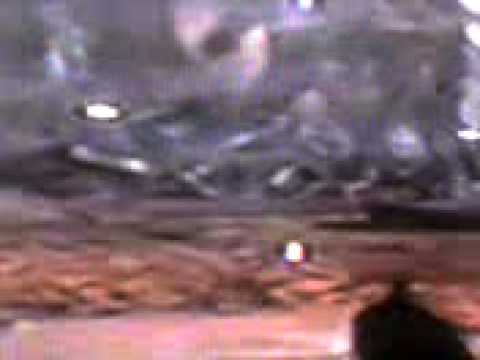 Lots of zombies on lvl 25