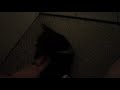 Ames Training Video