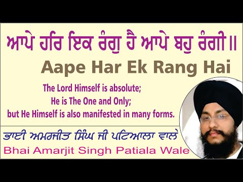 Aape Har Ek Rang Hai By Bhai Amarjit Singh Ji Patiala Wale