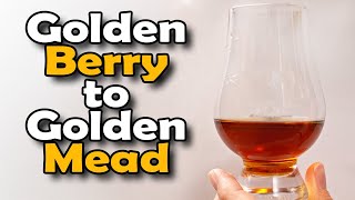 Dried Berries into Tasty Mead! Goldenberry Gift Mead