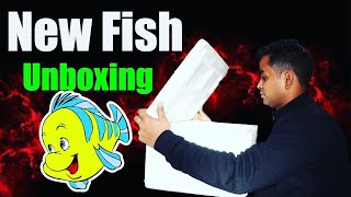 🔶Unboxing New Cichlid Fish | cichlidtank✅