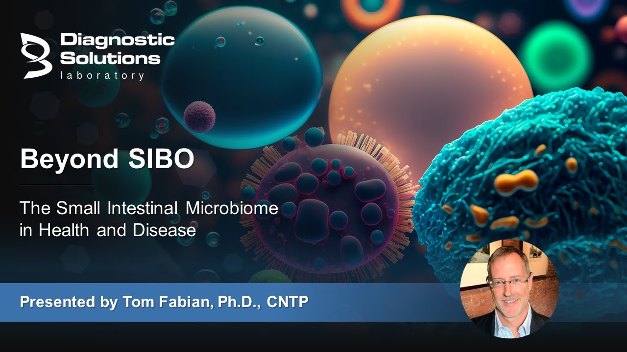 Beyond SIBO: The Small Intestinal Microbiome in Health and Disease