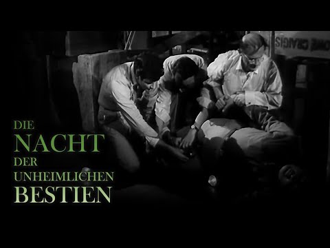 Die Nacht der unheimlichen Bestien (Sci-Fi Film, Horror in voller Länge anschauen, kompletter Film)