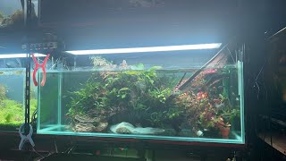 【ライブ137】水槽にボトムサンドを入れます