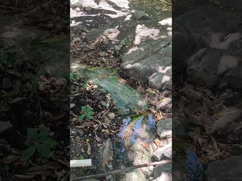 aguas de paulista em Paratinga Bahia