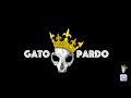 YER - GATO PARDO (Video Oficial)