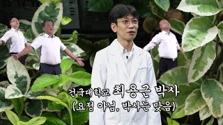 숲을 축소하고 자기도 축소시켜버림