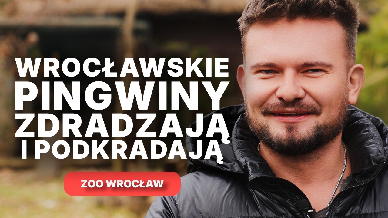WIOSNA W ZOO WROCŁAW - NOWA ŻYRAFIARNIA, REMONT TERRARIUM I MŁODE PINGWINY