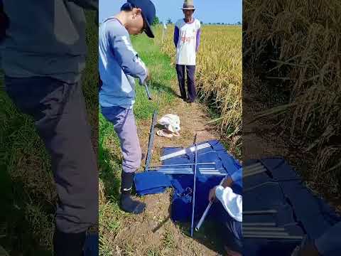 Mimpi yang sempurna x numb Linkin Park