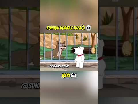 kurt kitabı okumamış - family guy türkçe dublaj