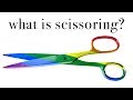 How To GRIND Dry Humping Scissoring 101 CC What S My Body Doing