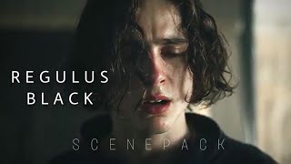 Regulus Black FANCAST | Timothée Chalamet | LOGOLESS SCENEPACK | 1080p