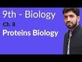 Matric part 1, Proteins Biology - Ch 8 Nutrition - 9th Class Biology
