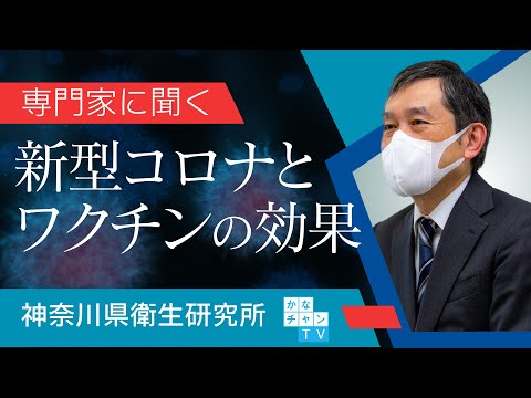 コロナウイルスワクチンはコウモリのおかげ?新しい研究は希望を与える