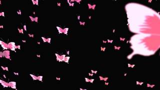 OVERLAYS mariposas revolotenado