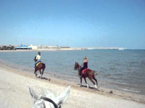 kassim morgana on beach 2011
