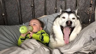 Baby Refuses To Sleep Without His Best Friend By His Side!