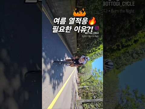여름엔 열적응도 필수입니다🫡 #자전거 #업힐 #열적응훈련