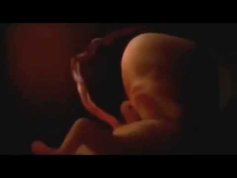 Wunder eines neuen Lebens