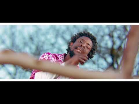 LEONARD MAPFUMO FT TERRY AFRICA   NHODO OFFICIAL MUSIC VIDEO