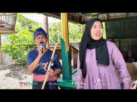 Duet Terbaper Susan Mlonk Ft Cak Rendi Musim Kembalit Reinata 05 Orkes Jalanan Lombok