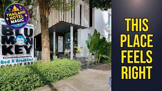 Blu Monkey Bed and Breakfast Phuket - This Place Feels Right | Phuket, Thailand🏨