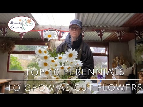 Top Ten Perennials to Grow as Cut Flowers // Stems by Suzanne Cut Flower Farm 🌸