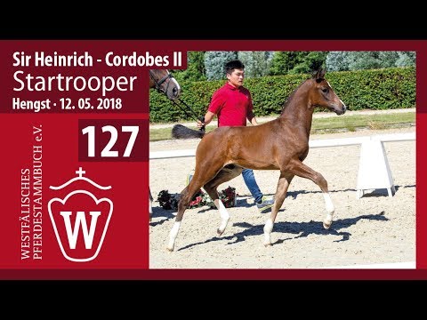 127 Startrooper HF v. Sir Heinrich - Cordobes II