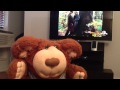 Bubba S Movie Review Of Sunshine 1999