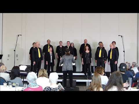 A Cappella Plus - Good Vibrations